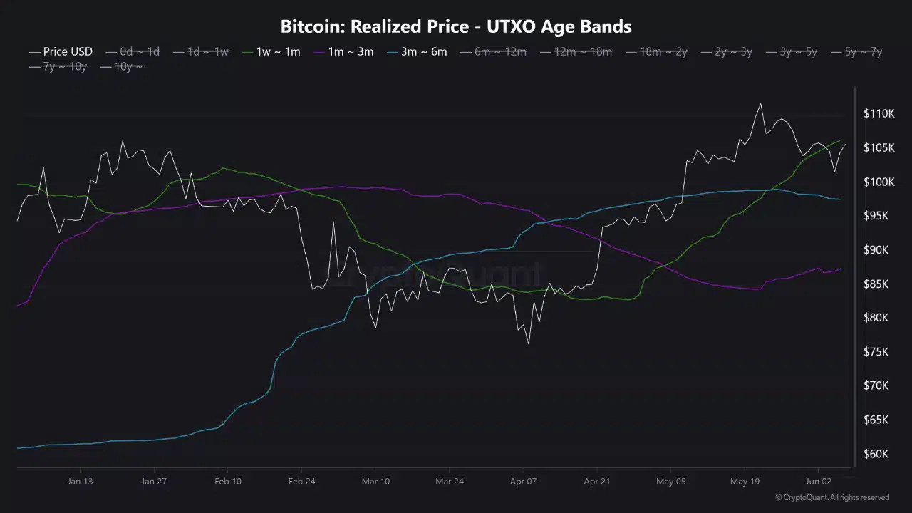 Trader Bitcoin: Bỏ qua halving, hãy theo dõi chỉ báo on-chain để dự đoán xu hướng BTC - Tin Tức Bitcoin - Cập Nhật Tin Tức Coin Mới Nhất 24/7 2025 Trader Bitcoin: Bỏ qua halving, hãy theo dõi chỉ báo on-chain để dự đoán xu hướng BTC - Tin Tức Bitcoin - Cập Nhật Tin Tức Coin Mới Nhất 24/7 2025