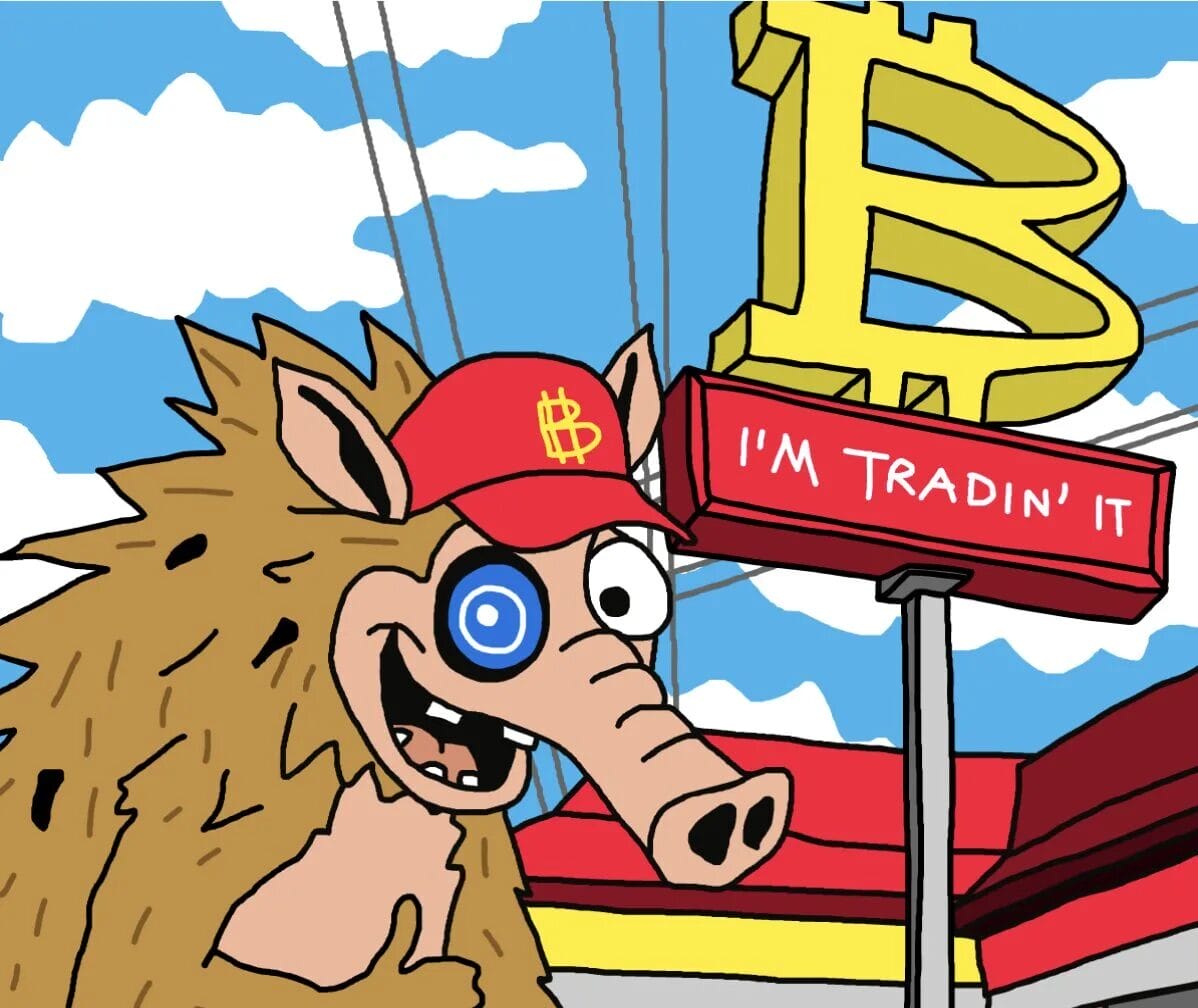 Snorter (SNORT): Bot giao dịch meme coin trên Solana - ứng viên tiềm năng x100 lần?