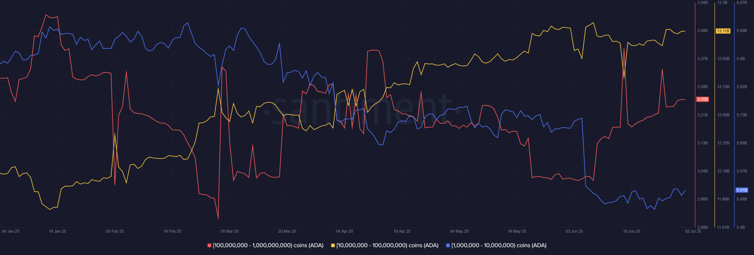 Dữ liệu ví cá voi ADA