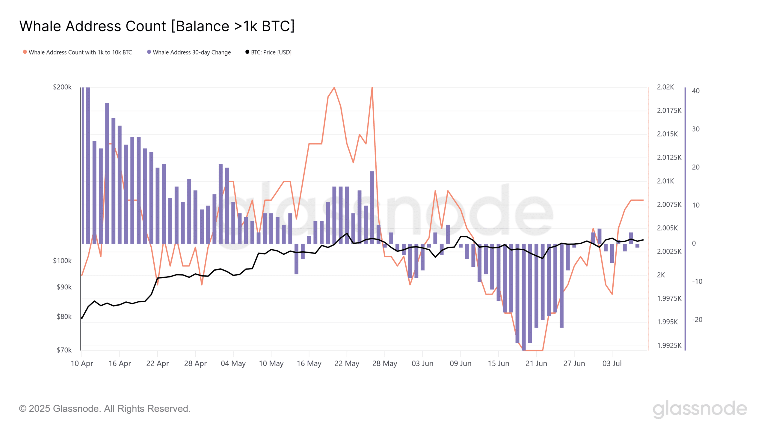 BTC Whale Address Count