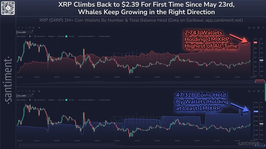 Số dư XRP giữ bởi cá voi