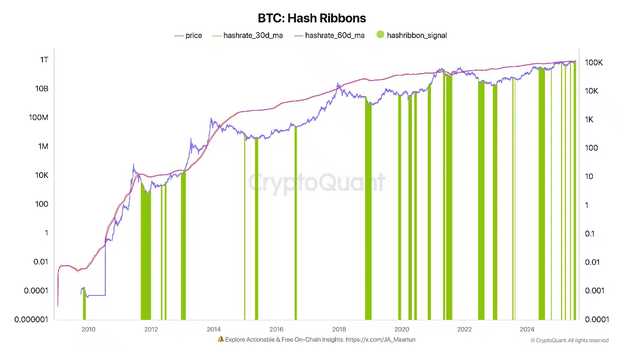 Dữ liệu on-chain Hash Ribbons - nguồn CryptoQuant