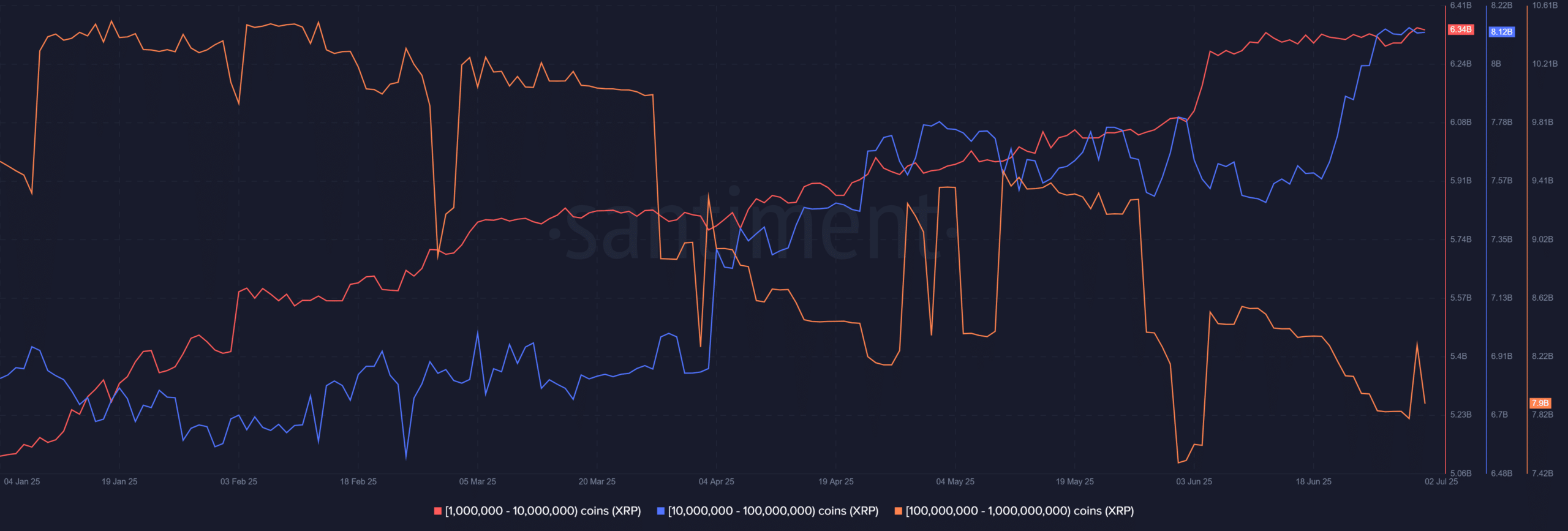 Dữ liệu ví cá voi XRP