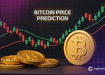 Thương Vụ 237 Triệu Đô và Tín Hiệu Đột Phá Giá Bitcoin Từ Elon Musk