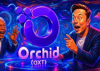 Orchid (OXT) là gì? Tổng quan và tiềm năng phát triển của Token OXT