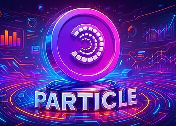 Particle Network (PARTI)