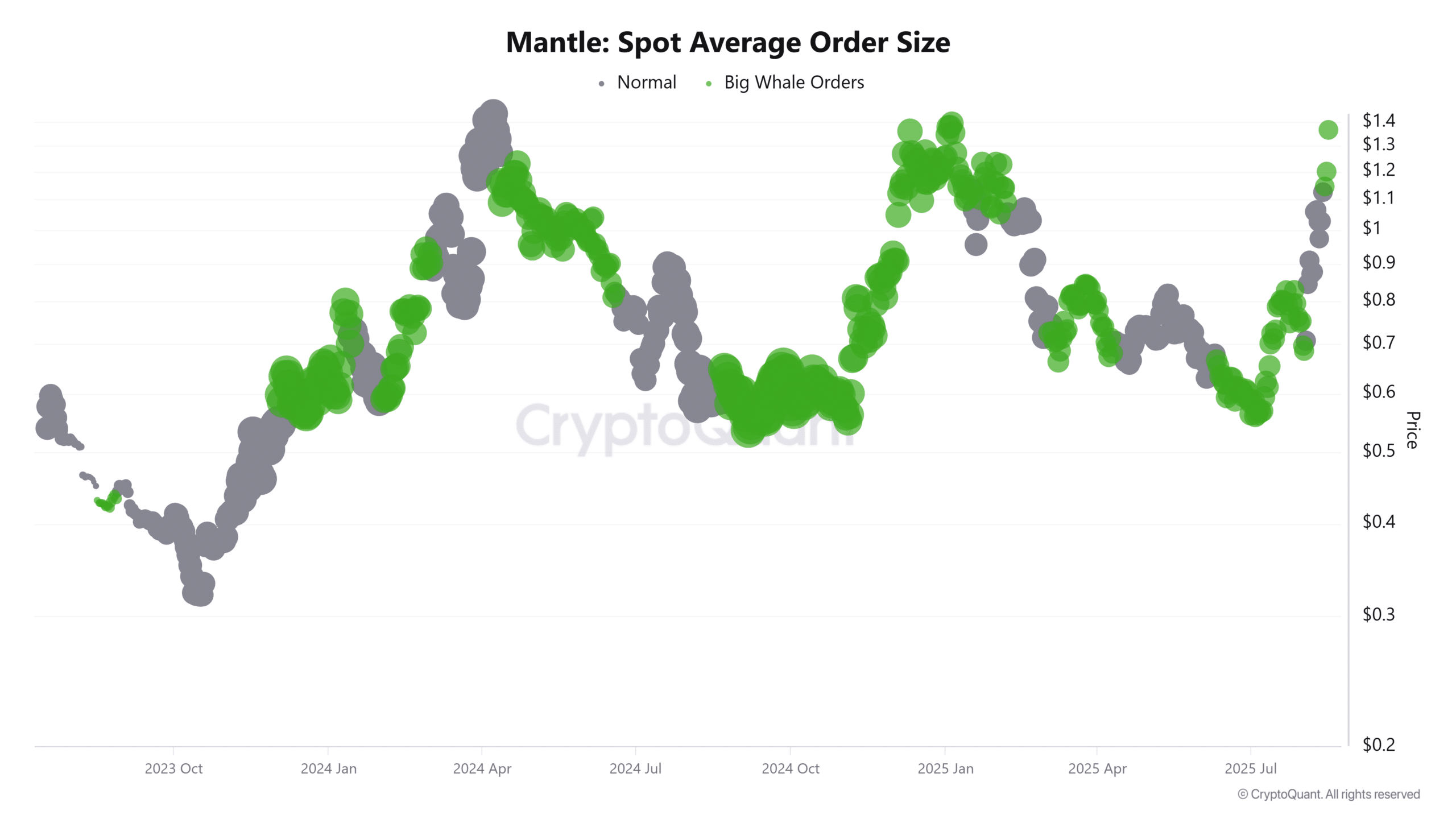 Mantle biến động mạnh, cá mập có thể thúc đẩy chốt lời MNT - Tin Tức Bitcoin - Cập Nhật Tin Tức Coin Mới Nhất 24/7 2025