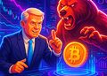 Cố vấn Trump David Bailey: Thị trường gấu Bitcoin còn cách vài năm