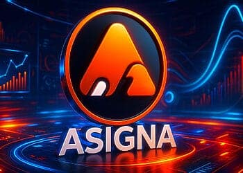 Asigna là gì?
