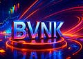 BVNK là gì?