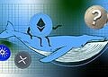 Cá voi Ethereum tìm cơ hội mới khi Cardano và XRP giảm?