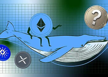 Cá voi Ethereum tìm cơ hội mới khi Cardano và XRP giảm?