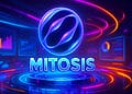 Mitosis là gì?