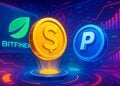 Công ty Stable do Bitfinex hậu thuẫn tích hợp PYUSD của PayPal