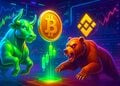 Tín hiệu đáy Bitcoin hiếm trên Binance bật: bò hay gấu hưởng lợi?