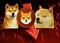 Tại sao Shiba Inu có thể giảm 15% trong mùa thu này trong khi nhà đầu tư rót vốn vào XYZVerse (XYZ) - Tin Tức Bitcoin - Cập Nhật Tin Tức Coin Mới Nhất 24/7 2025