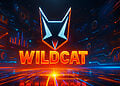 Wildcat là gì?