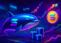 Cá voi Solana gom 44K SOL trị giá 8,37 triệu USD – mốc 218 USD? - Tin Tức Bitcoin - Cập Nhật Tin Tức Coin Mới Nhất 24/7 2025 Cá voi Solana gom 44K SOL trị giá 8,37 triệu USD – mốc 218 USD?