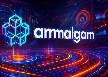Ammalgam là gì?