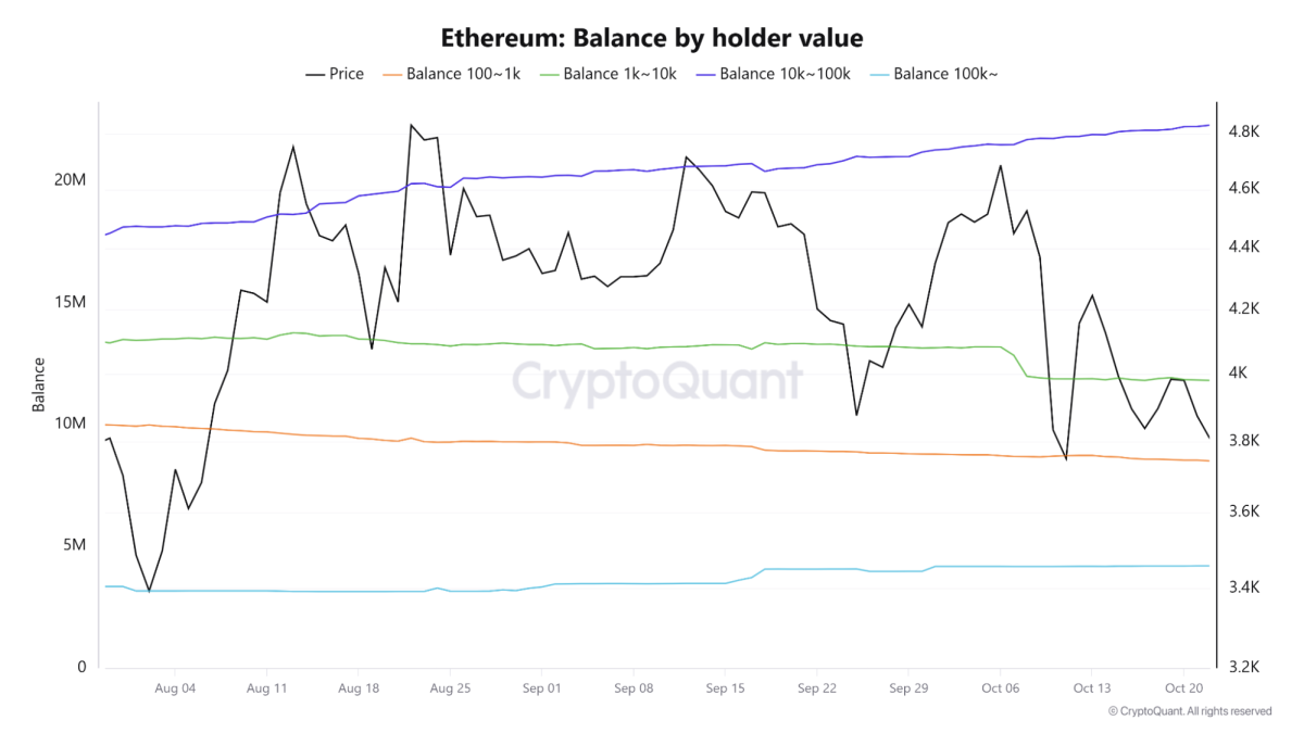 Altcoin Siêu Tiềm Năng Khi Cá Voi ETH Hối Hả Tích Lũy - Tin Tức Bitcoin - Cập Nhật Tin Tức Coin Mới Nhất 24/7 2025 Nguồn: CryptoQuant