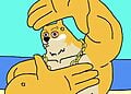 Elon Musk Gọi DOGE Là “Đồng Tiền Năng Lượng” – Meme Coin Maxi Doge Thu Hút Sự Chú Ý Giới Đầu Tư Toàn Cầu