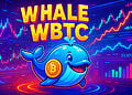 Cá voi mua 264,8 WBTC bằng 30 triệu USDT trong 4 ngày - Tin Tức Bitcoin - Cập Nhật Tin Tức Coin Mới Nhất 24/7 2025 Cá voi mua 264,8 WBTC bằng 30 triệu USDT trong 4 ngày