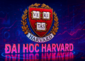 Đại học Harvard tăng mạnh nắm giữ Bitcoin ETF