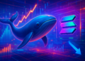 Cá voi mua Solana khi nhu cầu ETF tăng nhưng rủi ro giảm giá lớn - Tin Tức Bitcoin - Cập Nhật Tin Tức Coin Mới Nhất 24/7 2026 Cá voi mua Solana khi nhu cầu ETF tăng nhưng rủi ro giảm giá lớn