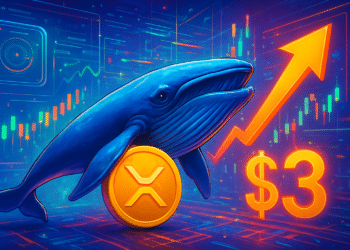 Cá voi gom XRP, giá hướng 3 USD: đảo chiều hay hồi kỹ thuật?