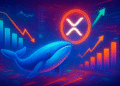 Cá voi rút 60% khi đòn bẩy tăng, XRP vào ngã rẽ?