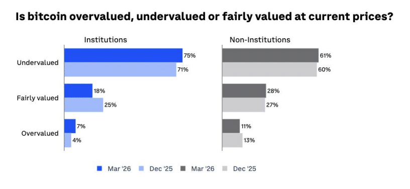 Bitcoin is undervalued