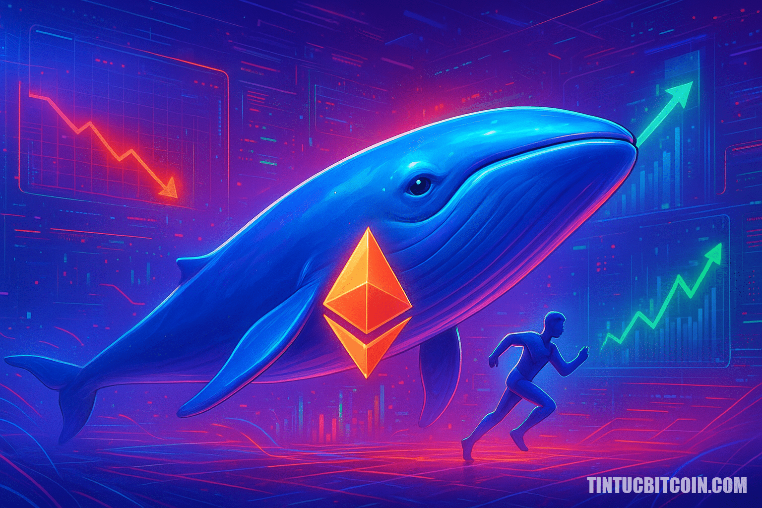 Cá voi Ethereum mua vào khi bán lẻ tháo chạy, vì sao ETH chưa tăng?