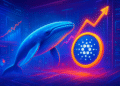 Cá voi tích lũy 10 triệu ADA, Cardano sắp tăng?