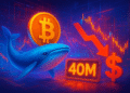 Cá voi Bitcoin mở vị thế short 40 triệu USD, BTC phục hồi 79.000 USD gặp rủi ro?