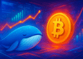 Cá voi ngủ đông chuyển 40 triệu USD, Bitcoin đảo chiều tích cực