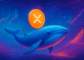 Cá voi XRP tích lũy lên đỉnh 8 năm, giá có hồi phục?