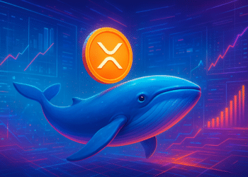 Cá voi XRP tích lũy lên đỉnh 8 năm, giá có hồi phục?