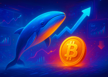 Cá voi Bitcoin tăng hoạt động lên mức cao nhất 9 tháng, nhưng lo ngại lớn vẫn còn