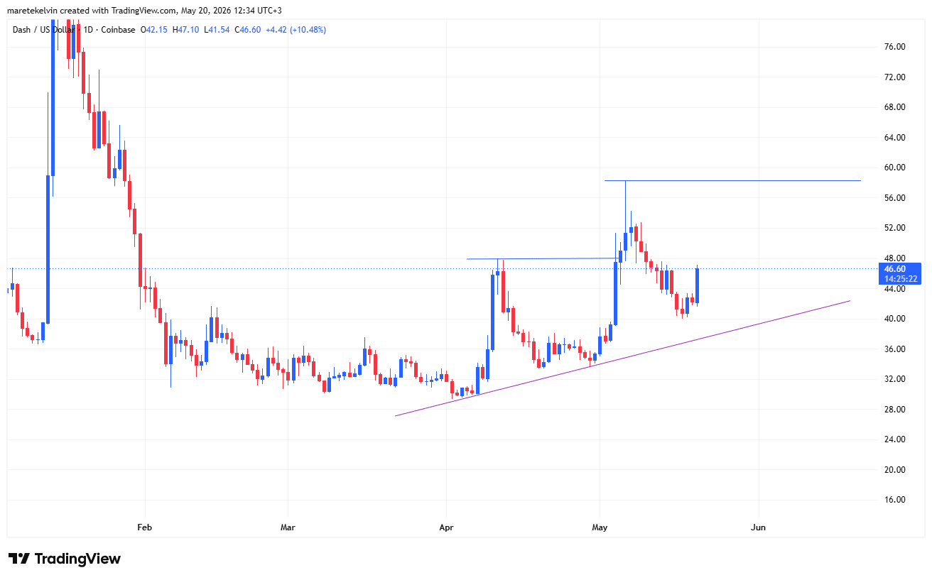 DASH có cơ sở mạnh để chạm 58 USD, vì sao? - Tin Tức Bitcoin - Cập Nhật Tin Tức Coin Mới Nhất 24/7 2026 DASH price analysis