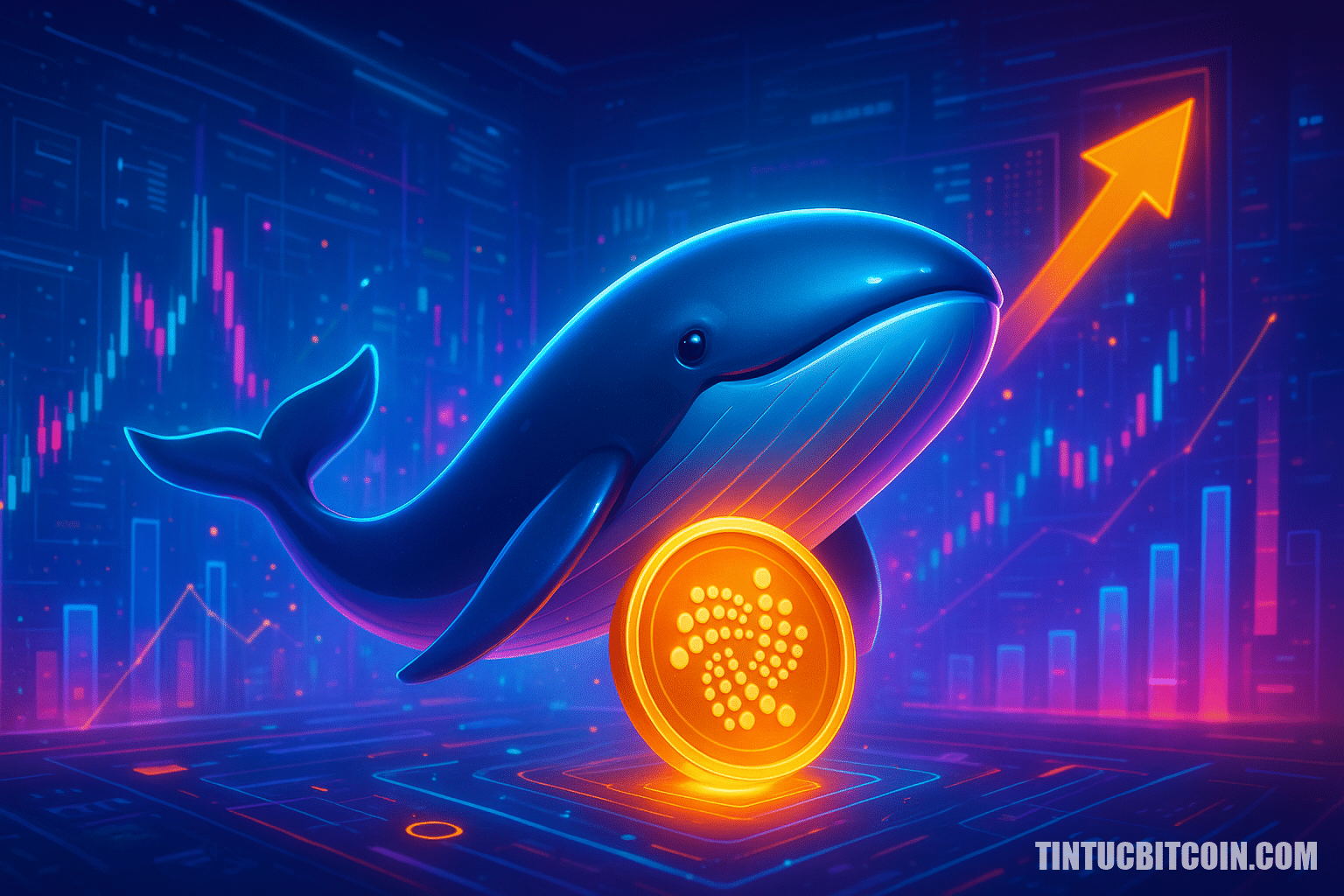 Cá voi gom IOTA, giá bật 14% nhờ phái sinh hỗ trợ - Tin Tức Bitcoin - Cập Nhật Tin Tức Coin Mới Nhất 24/7 2026 Cá voi gom IOTA, giá bật 14% nhờ phái sinh hỗ trợ