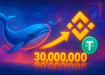 Cá voi chuyển 30 triệu USDT lên Binance, tín hiệu gì?