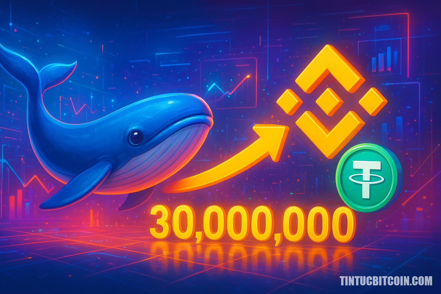 Cá voi chuyển 30 triệu USDT lên Binance, tín hiệu gì? - Tin Tức Bitcoin - Cập Nhật Tin Tức Coin Mới Nhất 24/7 2026 Cá voi chuyển 30 triệu USDT lên Binance, tín hiệu gì?