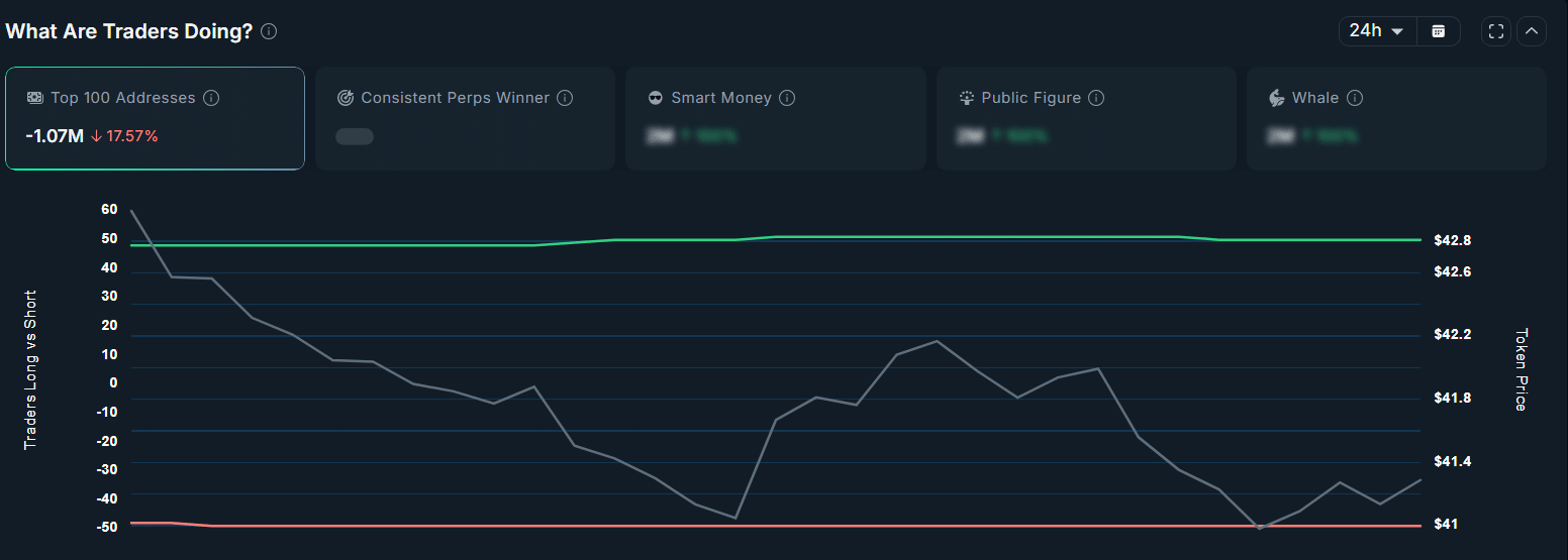 top 100 HYPE addresses