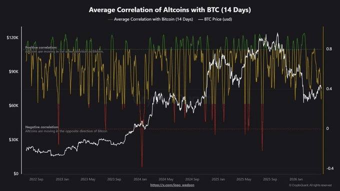 Altcoins
