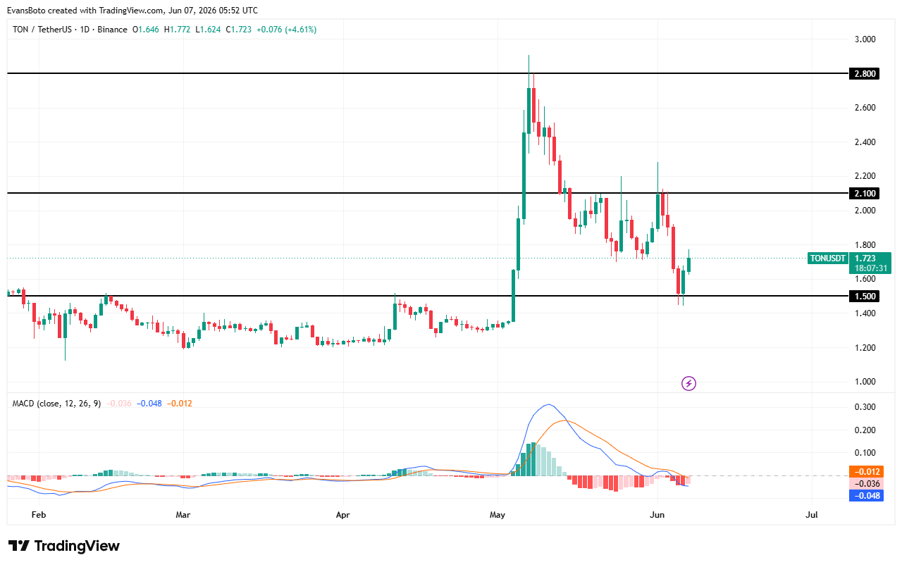TON price action