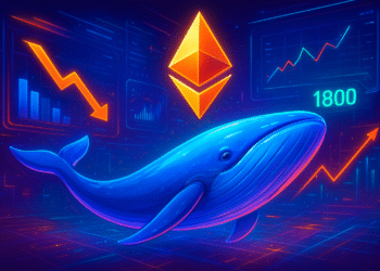 Cá voi Ethereum giảm hoạt động 86% – ETH có thể lấy lại 1.800 USD?