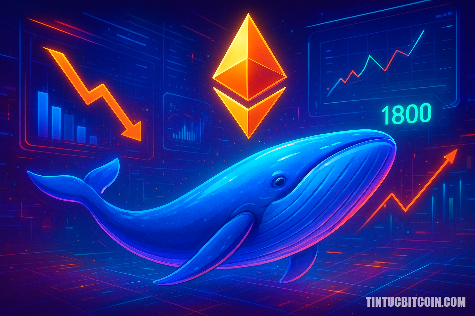 Cá voi Ethereum giảm hoạt động 86% – ETH có thể lấy lại 1.800 USD? - Tin Tức Bitcoin - Cập Nhật Tin Tức Coin Mới Nhất 24/7 2026 Cá voi Ethereum giảm hoạt động 86% – ETH có thể lấy lại 1.800 USD?