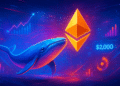 Cá voi gom ETH dưới 2.000 USD: Đã đến lúc mua Ethereum? - Tin Tức Bitcoin - Cập Nhật Tin Tức Coin Mới Nhất 24/7 2026 Cá voi gom ETH dưới 2.000 USD: Đã đến lúc mua Ethereum?