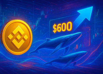 BNB cần 2 tín hiệu cá voi để lấy lại mốc 600 USD