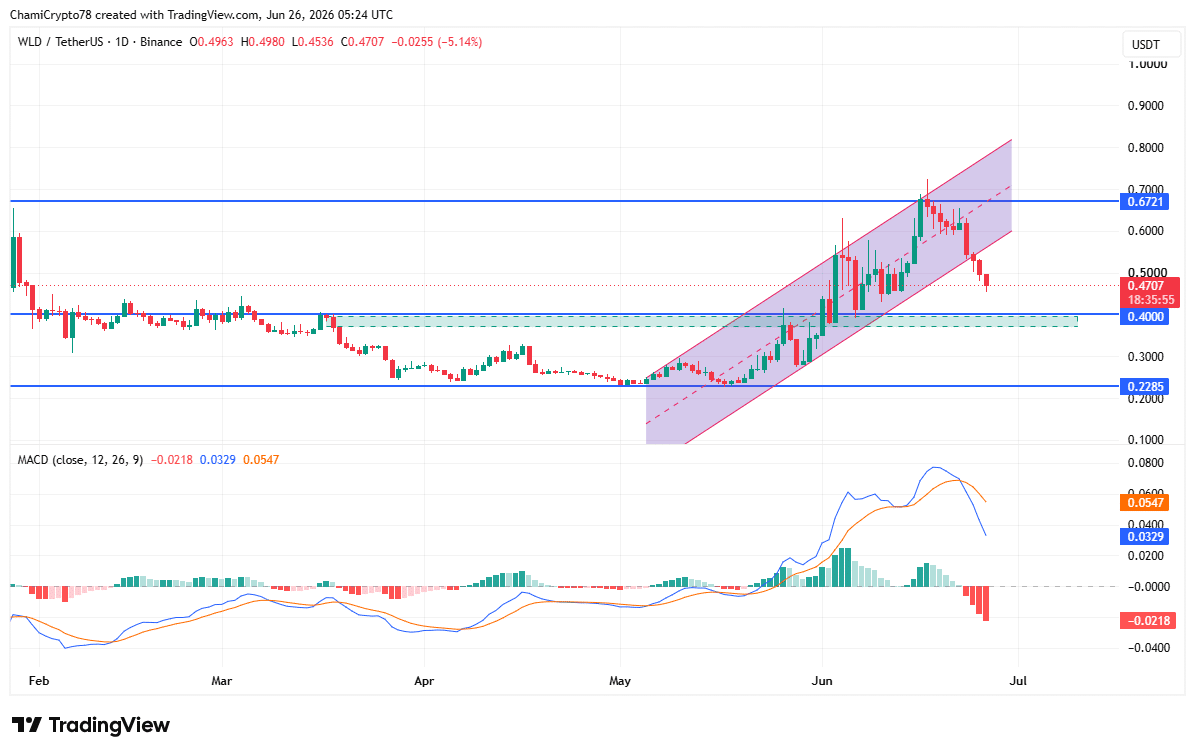 WLD price action